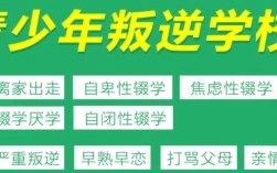 湖北武漢紐特叛逆教育機構怎么樣