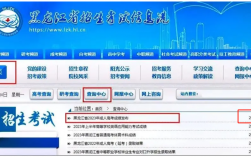 2024 黑龍江成人高考考試成績在哪查？什么時候出來？