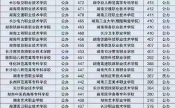 三百分左右能考什么學(xué)校
