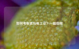 如何考取低壓電工證？一篇指南