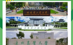 東北農業大學是雙一流嗎