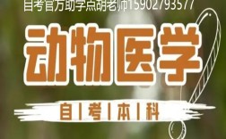 2025年小自考本科動物醫學專業招生簡章＋官網報名入口