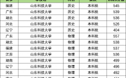 2024年山東科技大學(xué)全國排名