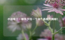 小區(qū)電工一般多少錢(qián)一個(gè)月？真相大揭秘！