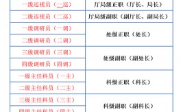 三級調研員是什么級別