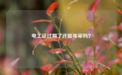 電工證過期了還能年審嗎？