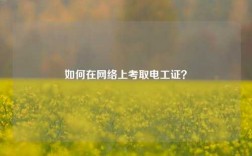 如何在網(wǎng)絡(luò)上考取電工證？
