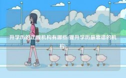 升學(xué)歷的正規(guī)機(jī)構(gòu)有哪些(提升學(xué)歷最靠譜的機(jī)構(gòu))