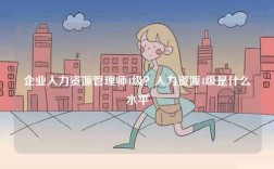 企業(yè)人力資源管理師4級？人力資源4級是什么水平
