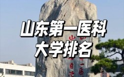 2024年山東醫(yī)學(xué)院排名