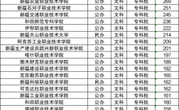 新疆的公辦二本院校有哪些？如何選擇適合的學校？