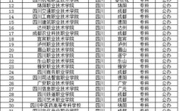 2024年成都?？婆琶笆麑W校
