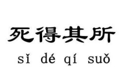 死得其所的所的意思