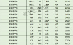 西安醫學院護理大專分數線