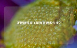 正規(guī)建筑電工證到底要多少錢？