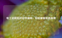 電工初級(jí)知識(shí)自學(xué)視頻，輕松掌握電路原理