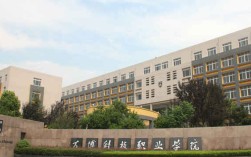 2025年萬博科技職業學院繼續教育學院成考高起專報名要求權威發布