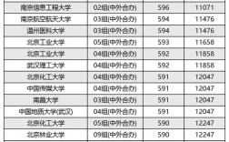 中央財經(jīng)大學(xué)中外合作辦學(xué)分?jǐn)?shù)線(詳解)