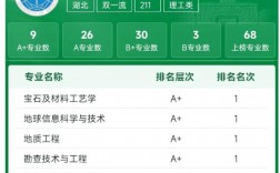 中國地質大學在211排名如何？具體情況如何？