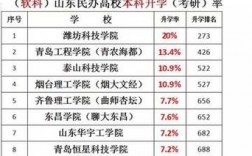 濰坊理工學(xué)院考研率