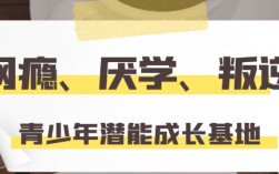 武漢 紐特心理叛逆學校，上門接送~