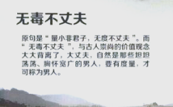 無(wú)毒不丈夫的解釋_近義詞_反義詞