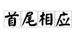 首尾相應(yīng)的解釋_近義詞_反義詞