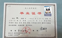 自考要大專嗎