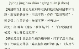 皓首窮經(jīng)的解釋_近義詞_反義詞