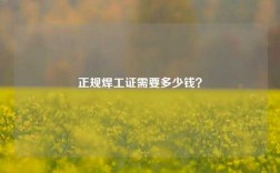 正規(guī)焊工證需要多少錢？