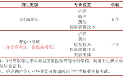 2025合肥醫(yī)藥衛(wèi)生學(xué)校3+2招生專業(yè)全解析｜報考指南+面試要求，助你精準(zhǔn)規(guī)劃醫(yī)學(xué)之路
