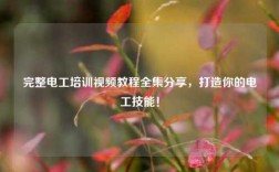 完整電工培訓視頻教程全集分享，打造你的電工技能！