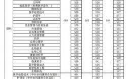 2024年新鄉醫學院錄取分數線