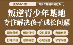  可以拯救青春期孩子網(wǎng)癮大/脾氣大/不愿意去學(xué)校的特訓(xùn)營(yíng)推薦