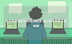 專升本考試什么時(shí)候出成績(jī) 成人專升本多久出成績(jī)