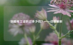 到底電工證*過多少錢？——詳細解析