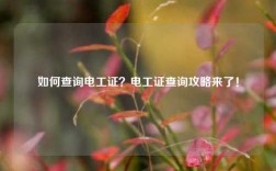 如何查詢電工證？電工證查詢攻略來(lái)了！