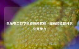 低壓電工自學(xué)免費(fèi)視頻教程，提高技能提升職業(yè)競(jìng)爭(zhēng)力