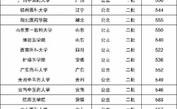 二本臨床醫學大學