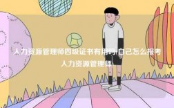 人力資源管理師四級(jí)證書有用嗎(自己怎么報(bào)考人力資源管理師)