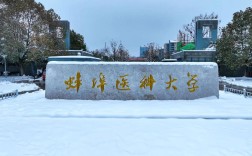 權(quán)威解讀！2025安徽自考護(hù)理學(xué)本科唯一報(bào)考院校：蚌埠醫(yī)科大學(xué)