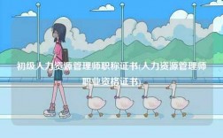 初級人力資源管理師職稱證書(人力資源管理師職業(yè)資格證書)