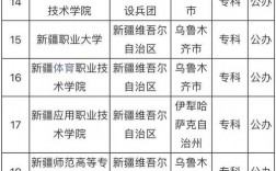 新疆的二本公辦院校有哪些？如何選擇適合的學校？