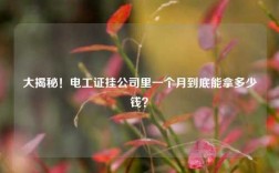 大揭秘！電工證掛公司里一個月到底能拿多少錢？