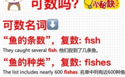 fish可數(shù)嗎 與fishes有啥區(qū)別