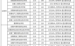 2024年安徽省?？圃盒Ｅ琶胺謹稻€