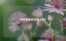 如何考取低壓電工證？