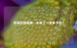 市場價格調(diào)查：水電工一天多少錢？
