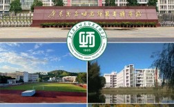 ?？茙煼额悓W校