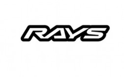 ray 英文名